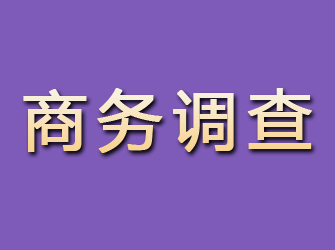 陵川商务调查